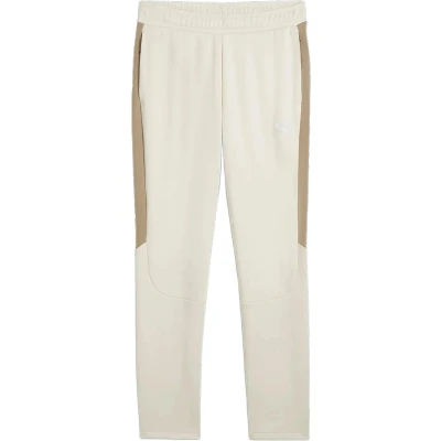 Afbeelding van Puma WARM Pants Trainingsbroek, Heren, Maat: Medium, Alpine snow