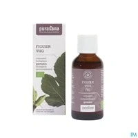 Afbeelding van Puragem Vijg 50 ml (50 ml)