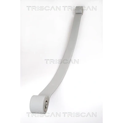 Afbeelding van Triscan Bladveer 8765 23019