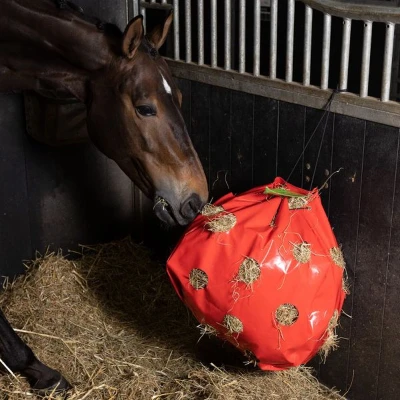 Afbeelding van Imperial Riding SS&#039;23 Hay Fun Apple