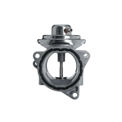 Afbeelding van EGR klep VALEO 703200
