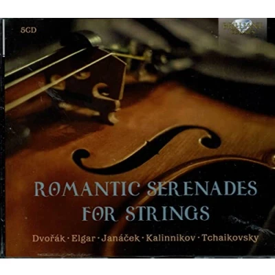 Afbeelding van Various Artists Romantic Serenades For Strings (CD)
