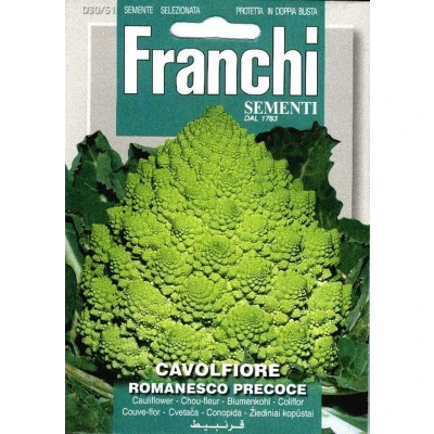 Afbeelding van Romanesco, Cavolfiore Romanesco Precoce, Groene Bloemkool