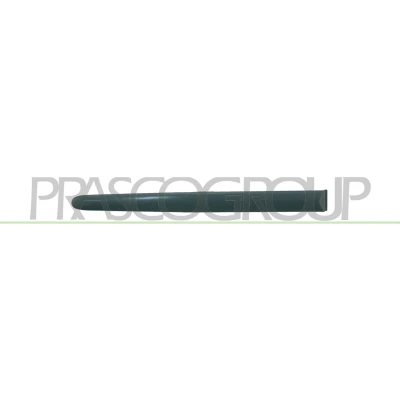 Afbeelding van PRASCO PG0091453 Zierleiste PEUGEOT: 206 SW (2E/K) 1.1, 1.4, 1.6 16V, 2.0 1.4 HDi, HDi 110 2002 2007