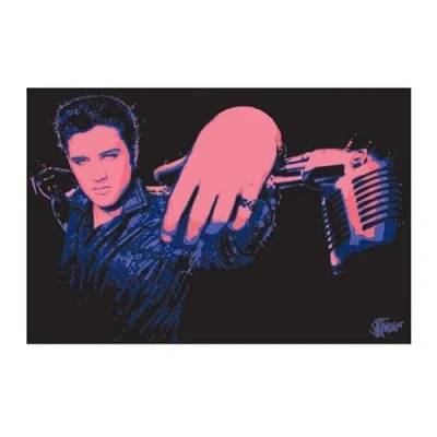 Afbeelding van Kunstdruk Elvis Presley Microphone 40x50cm