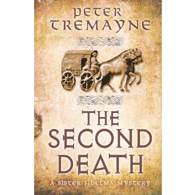 Afbeelding van The Second Death: A captivating Celtic mystery of murder and corruption