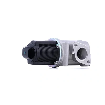 Afbeelding van Magneti Marelli EGR klep 571822112007