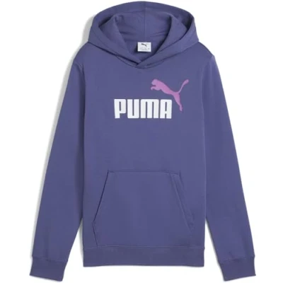Afbeelding van PUMA ESS 2 KLEUR Nr. 1 Logo Hoodie FL B