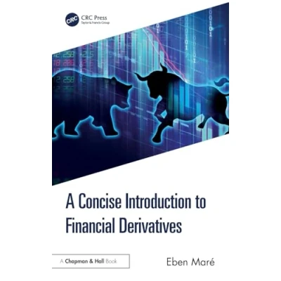 Afbeelding van A Concise Introduction to Financial Derivatives