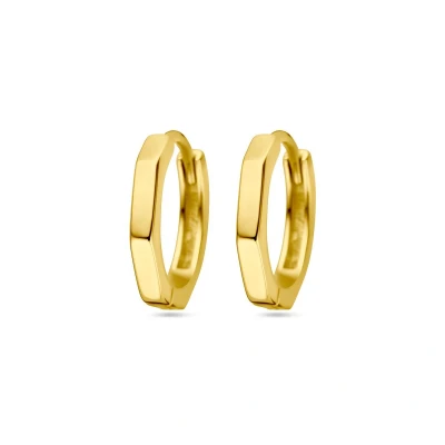 Afbeelding van Zilver Verguld (Geel) Klapoorringen 1 Micron 2103401