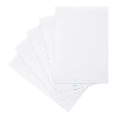 Afbeelding van Landré Flipchart papier, blanco, met 20 vellen per blok, 6 perforaties, 5 stuks