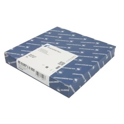 Afbeelding van Kolbenschmidt Zuigerveren 800109710000