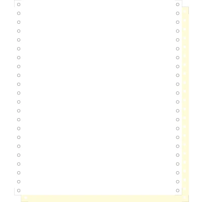 Afbeelding van 1000 feuilles de listing autocopiantes blanc/jaune 240x11&quot; 2plis bandes caroll detachables