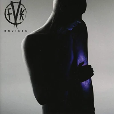 Afbeelding van Fearless Vampire Killers Bruises (CD)