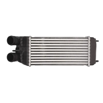 Afbeelding van Thermotec Interkoeler DAP003TT