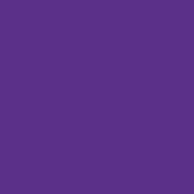 Afbeelding van plottiX Perm. Vinylfolie 31,5 cm x 1 m Paars