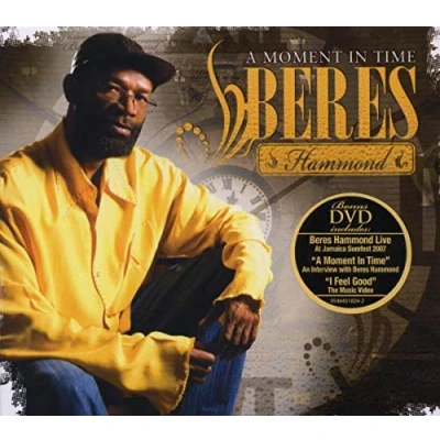Afbeelding van Beres Hammond A Moment In Time (2 CD)
