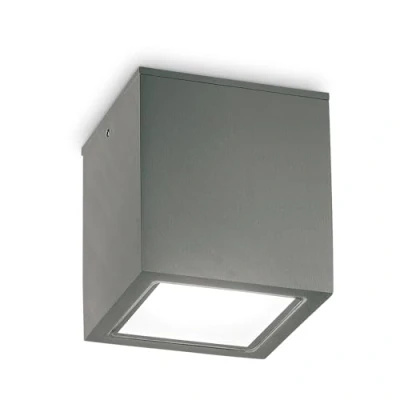 Afbeelding van Ideal lux, Wandlamp + plafondlamp, TECHO plafondlamp GU10 dimbaar antraciet IP54 251554 (GU10)