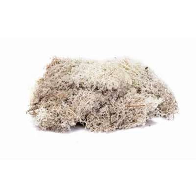 Afbeelding van Hornby R7193 Lichen Stone Grey Scenic Materials, Multi