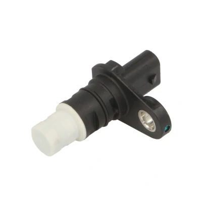 Afbeelding van Krukaspositiesensor DELPHI SS12319 12B1