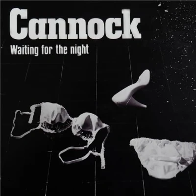Afbeelding van Cannock Waiting For the Night (LP)