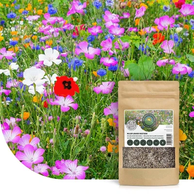 Afbeelding van Bloemzaden Wildbloemenmengsel Één En Meerjarig 45 Soorten 1 KG 500 M² MRS Seeds &amp; Mixtures