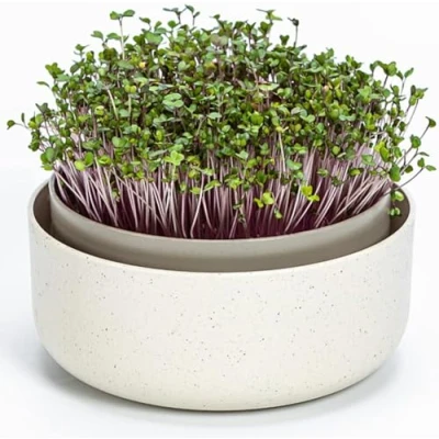 Afbeelding van Urbalive Grote kiemschaal 16 cm tuinkers kweekschaal voor kiemen, tuinkerszaden, microgreens design tuinkerszeef van hoogwaardig kunststof kiemscheutbox kiemapparaat met koffiedik bijmenging