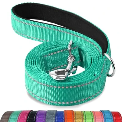 Afbeelding van Joytale Hondenriem met gevoerd handvat, dubbelzijdige reflecterende nylon hondenlijnen voor training, wandelriem kleine, middelgrote honden, 1,2 m x 2 cm, groenblauw