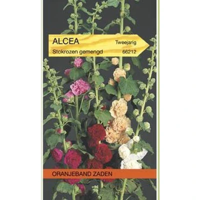 Afbeelding van Althaea (Alcaea), Stokroos Chater&#039;s gemengd