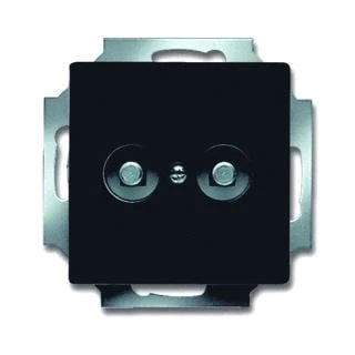 Afbeelding van Abb busch jaeger aardingscontactdoos centraalplaat 2 voudig inbouw c a 2cka002495a0084