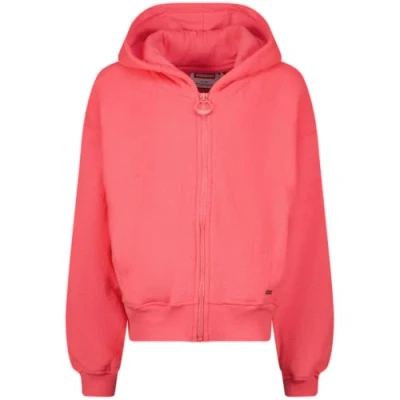 Afbeelding van Hoodie Basic Ziphoody Terry