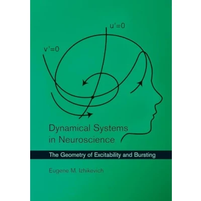 Afbeelding van Dynamical Systems in Neuroscience: The Geometry of Excitability and Bursting
