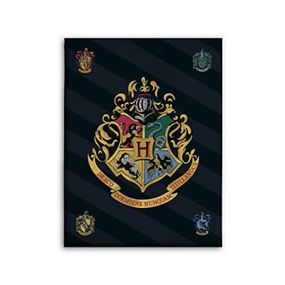 Afbeelding van BrandMac Harry Potter fleece deken 100x140 knuffeldeken Hogwarts