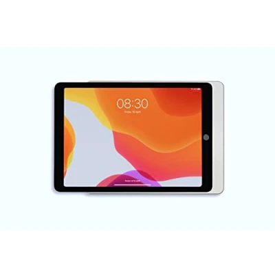 Afbeelding van Dame Wall Home Slide in wandhouder iPad 10.2, zilver