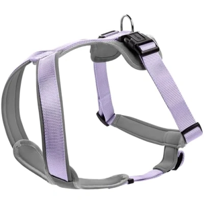 Afbeelding van HUNTER Neopreen tuigje, kleur: lavendel/grijs, maat: M/2