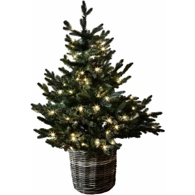 Afbeelding van LOBERON Sierboom Mantilly groen