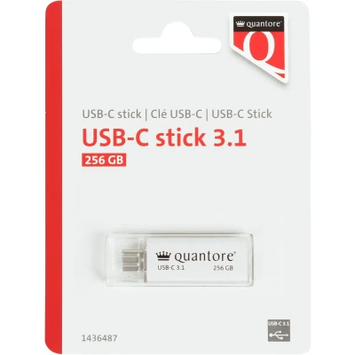 Afbeelding van USB stick C 256GB 3.1 zilver