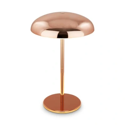 Afbeelding van BRILONER LED tafellamp snoerloos IP44 met lichtrand, touchdimmer, oplaadbare batterij vervangbaar, bedlamp, leeslamp, lamp, decoratieve tafellamp, buiten, 19,5x30,5 cm, koperkleurig