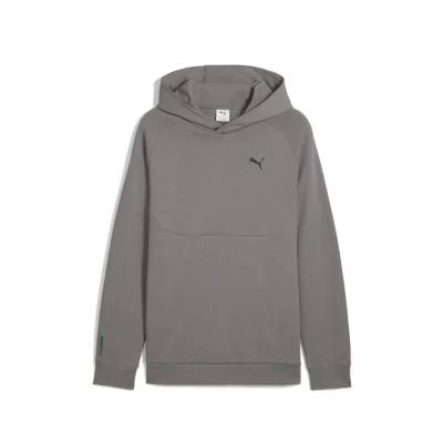 Afbeelding van Puma TECH Hoodie, Heren, Maat: Medium, Cast iron