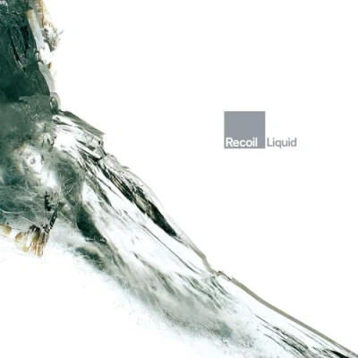 Afbeelding van Recoil Liquid (2 LP)
