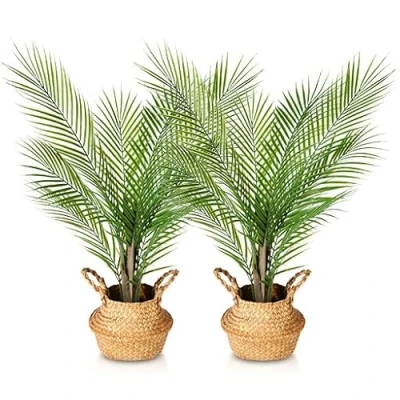 Afbeelding van Kazeila kunstplanten 80 cm hoge kunstmatige palmbomen met zeegras mand decoratieve binnenshuis in pot nepplanten woondecoratie (2 stuks)