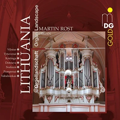 Afbeelding van Martin Rost Lithuanian Organ Landscape (CD)