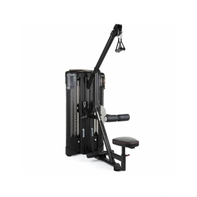 Afbeelding van Inspire DUAL Station Lat + Low Row Zwart Metaal