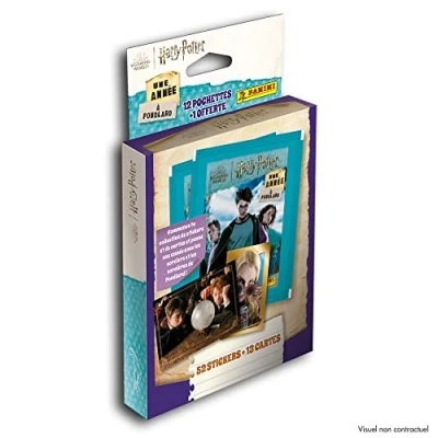 Afbeelding van Panini Harry Potter A Year at Hogwarts Eco Blister