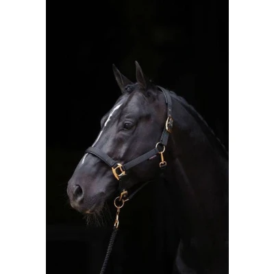 Afbeelding van Covalliero Halster TopLine Zwart Xfull