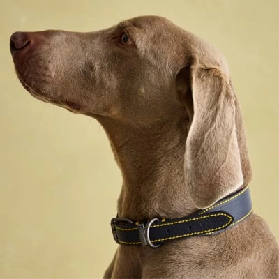 Afbeelding van Rozenhout Joules Navy Lederen Hond Kraag, Medium, Blauw, 0.0707 kg