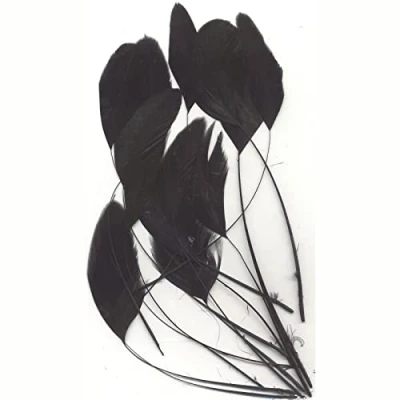 Afbeelding van Feathers, Black