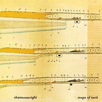 Afbeelding van Wright Shannon Maps Of Tacit