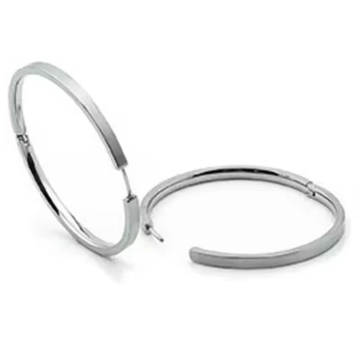 Afbeelding van Boccia 0508 01 Oorringen titanium zilverkleurig 2,5 x 40 mm