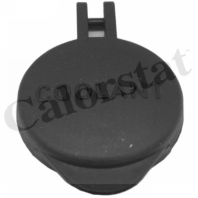 Afbeelding van Calorstat By Vernet Radiateurdop RC0201